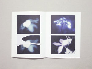 Photographic Incident