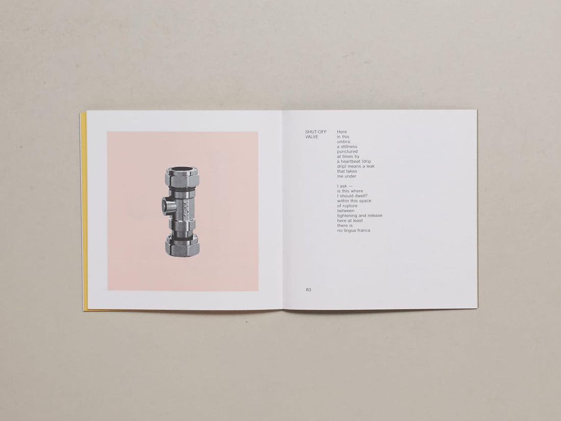 Site Report - Antenne Books