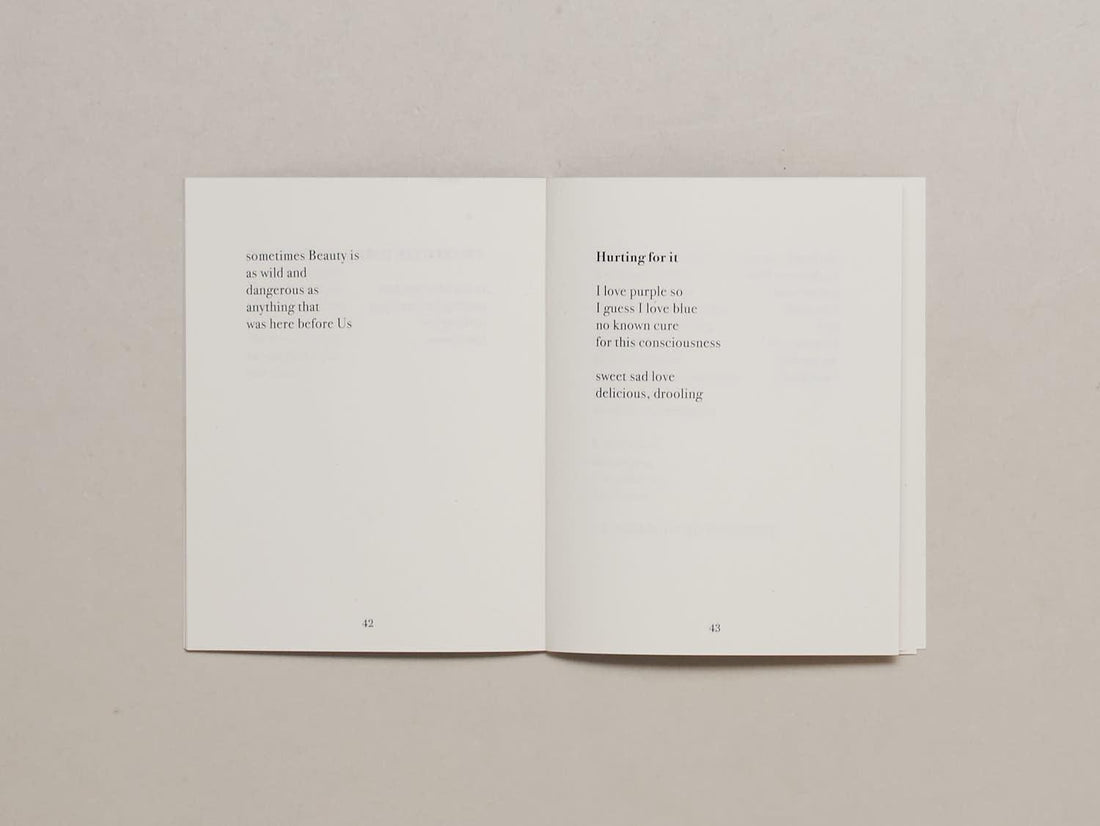 I Wanted to Be the Knife - Antenne Books