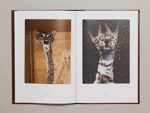 Very charming animals : CATS - Antenne Books
