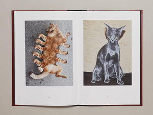 Very charming animals : CATS - Antenne Books