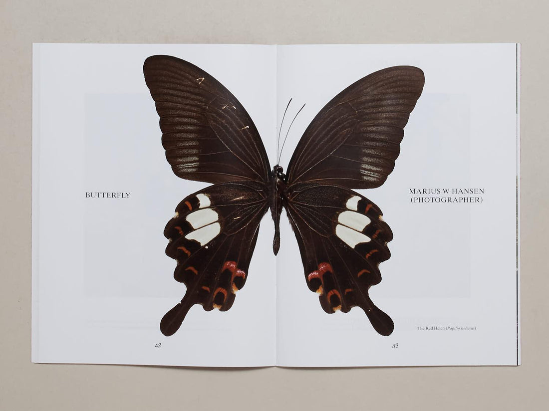 PAPERBOY Issue 4 - Antenne Books