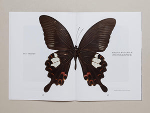 PAPERBOY Issue 4 - Antenne Books