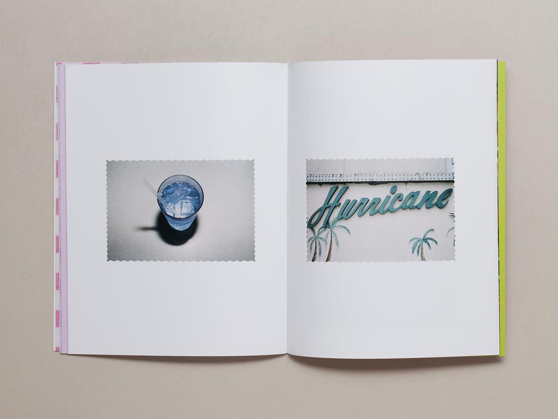 Scenic Views, Issue 4 - Antenne Books