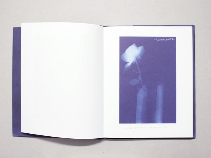 Conversations with Blue