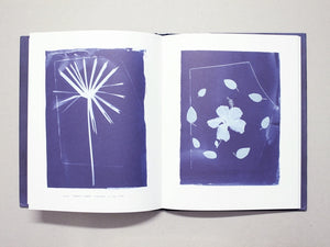 Conversations with Blue