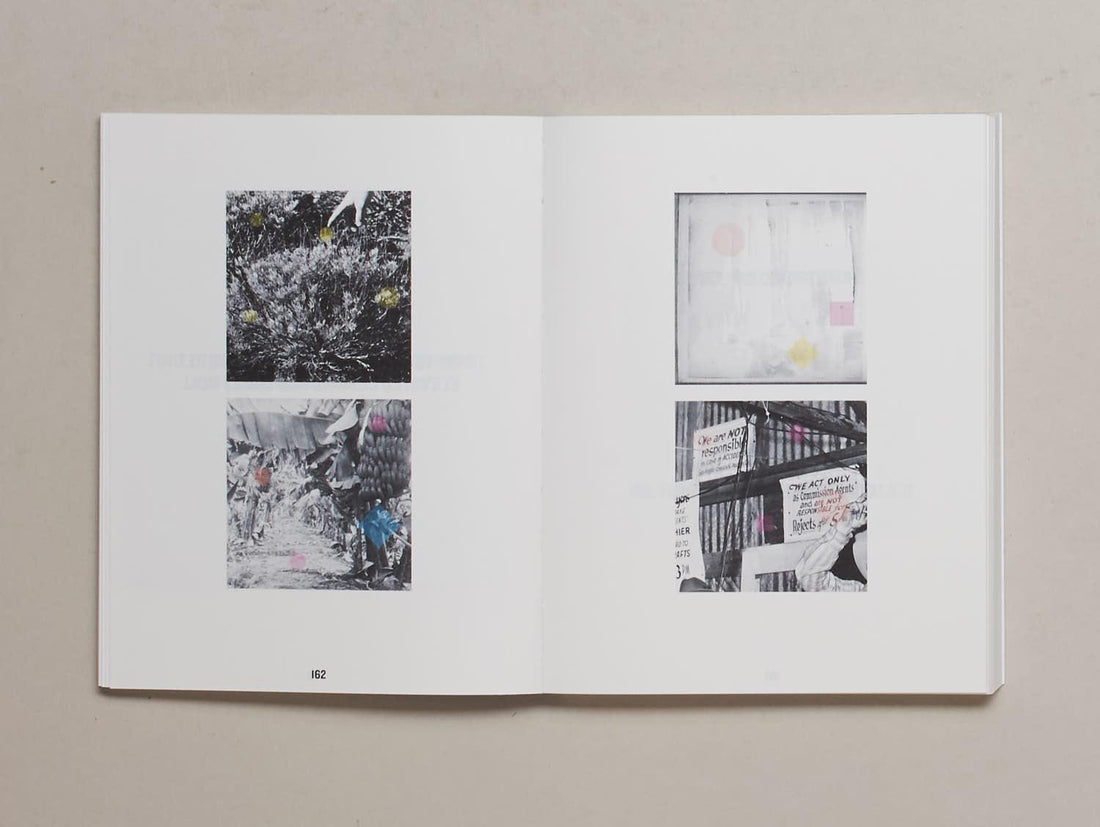 Mountain of Salt - Antenne Books