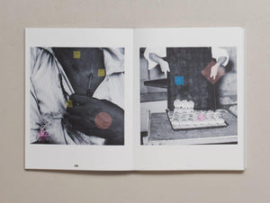 Mountain of Salt - Antenne Books