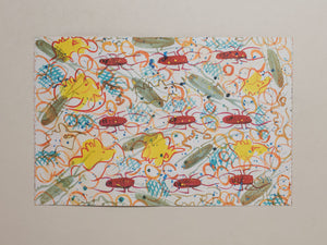 A Rare Gift of the Tropics