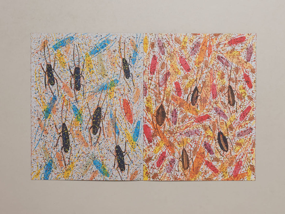 A Rare Gift of the Tropics