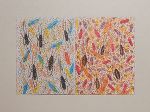 A Rare Gift of the Tropics