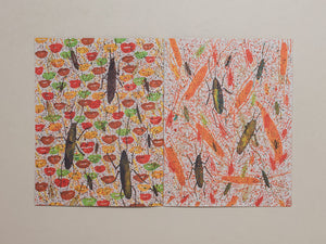 A Rare Gift of the Tropics