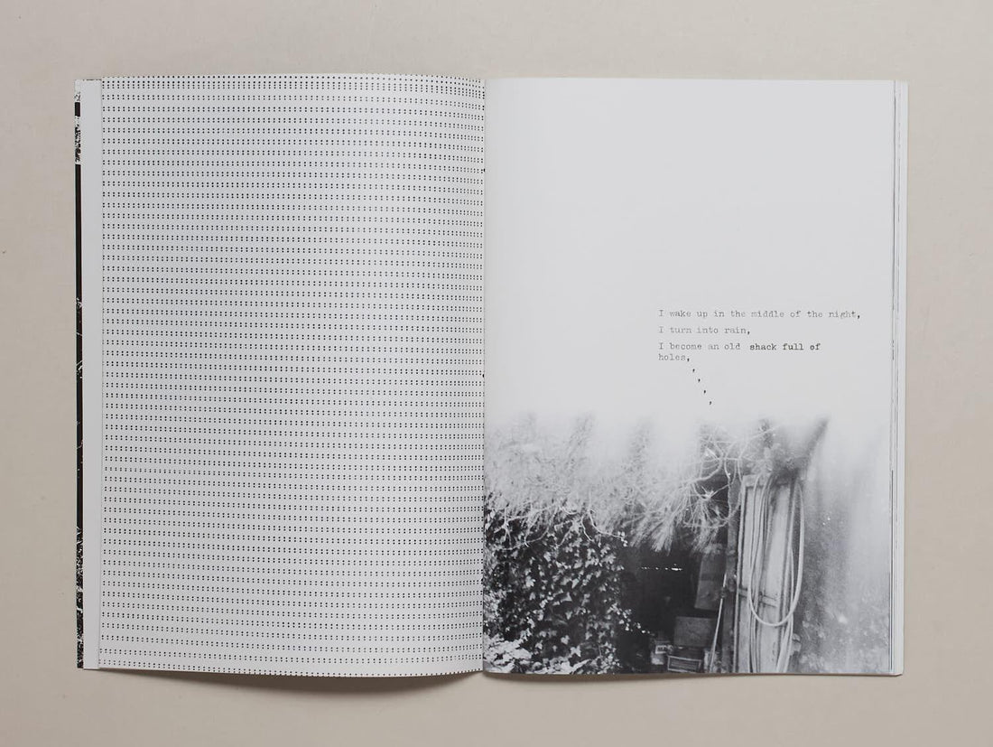 PATRIA - Antenne Books