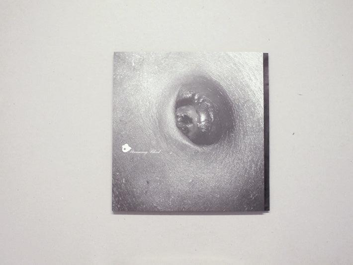 Streaming Blood [Sounds+Visions] - Antenne Books