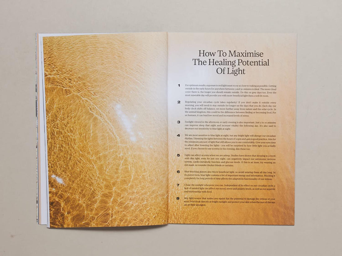 Wholetalk No. 4 The Earth Issue - Antenne Books