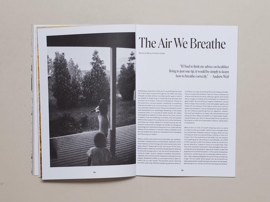 Wholetalk No. 4 The Earth Issue - Antenne Books