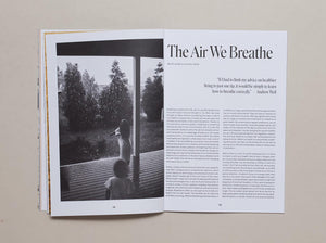Wholetalk No. 4 The Earth Issue - Antenne Books