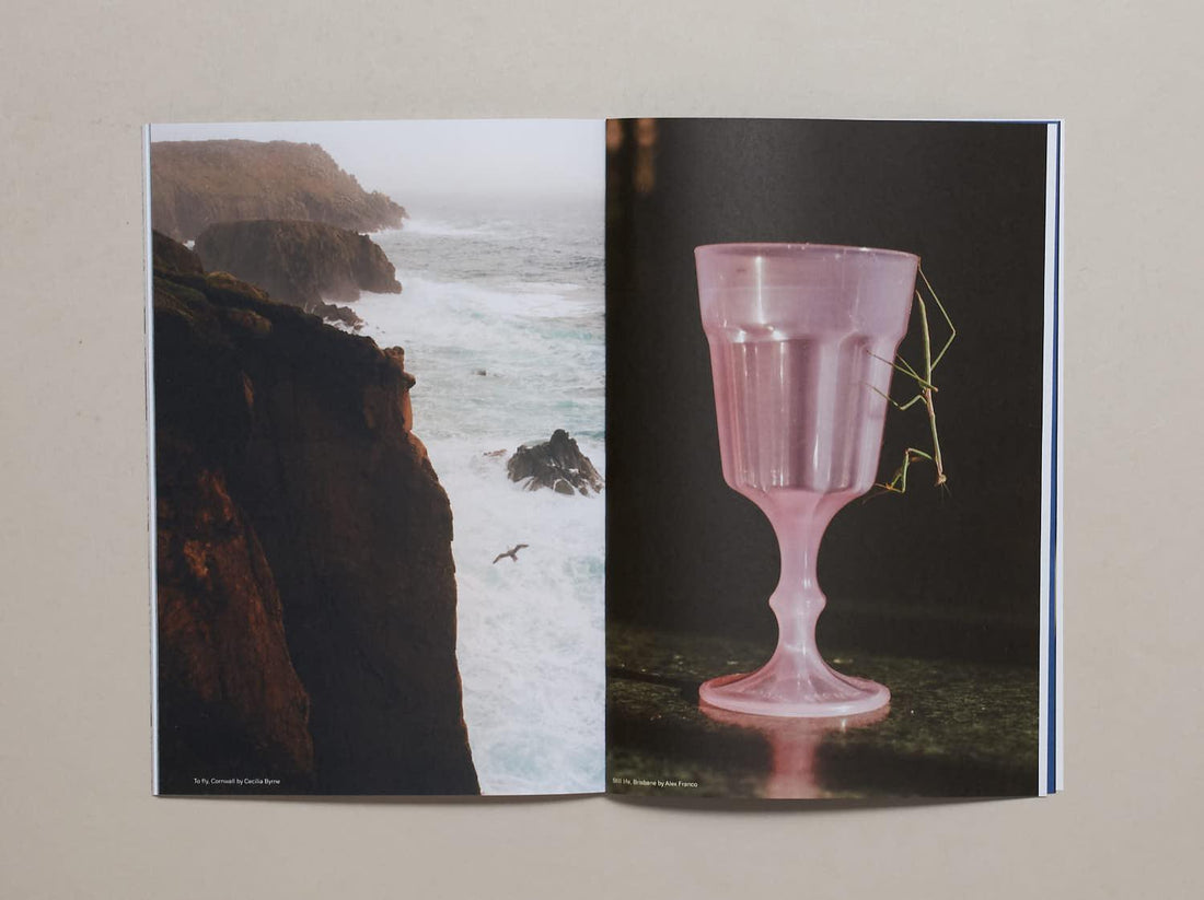 Wholetalk No. 4 The Earth Issue - Antenne Books