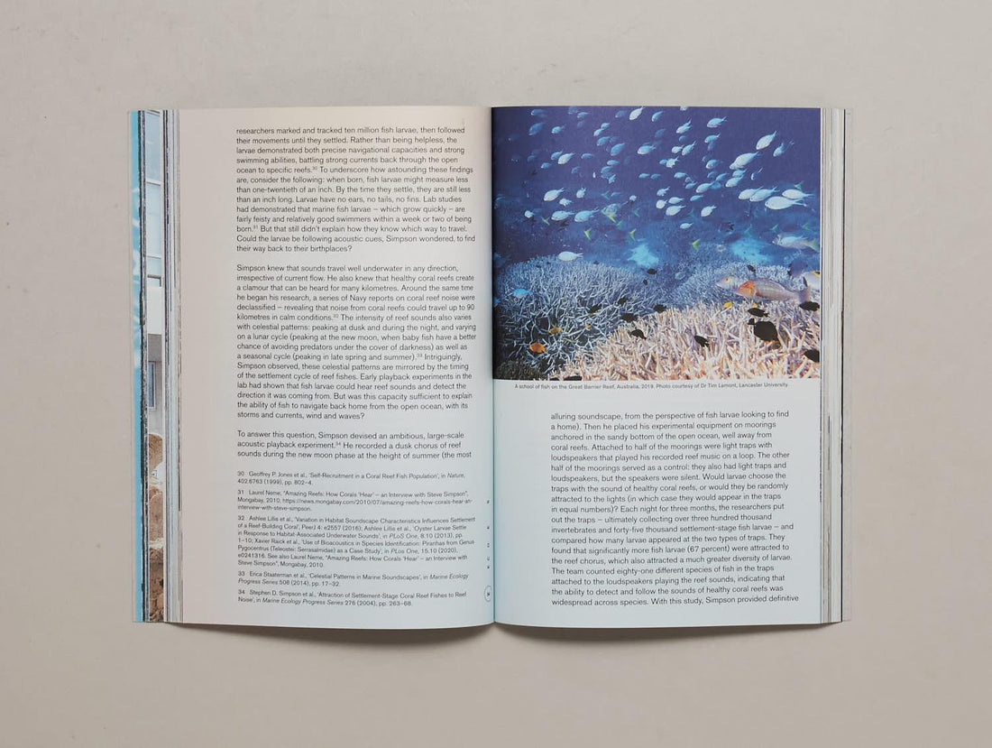 Ecoes Issue #5 - Antenne Books