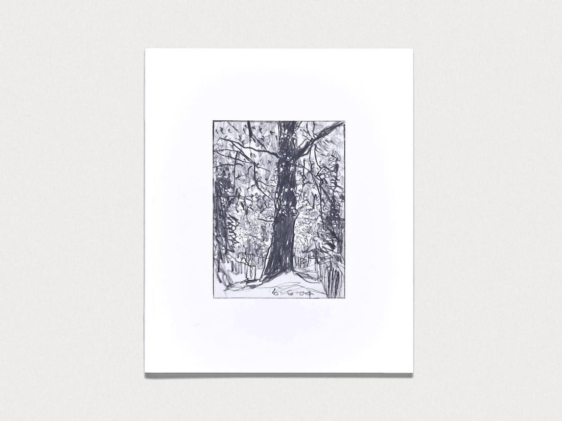 Woods - Antenne Books