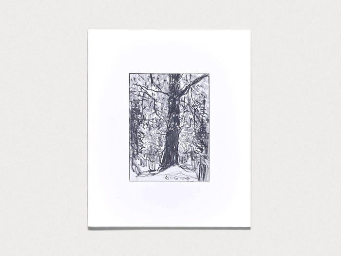 Woods - Antenne Books