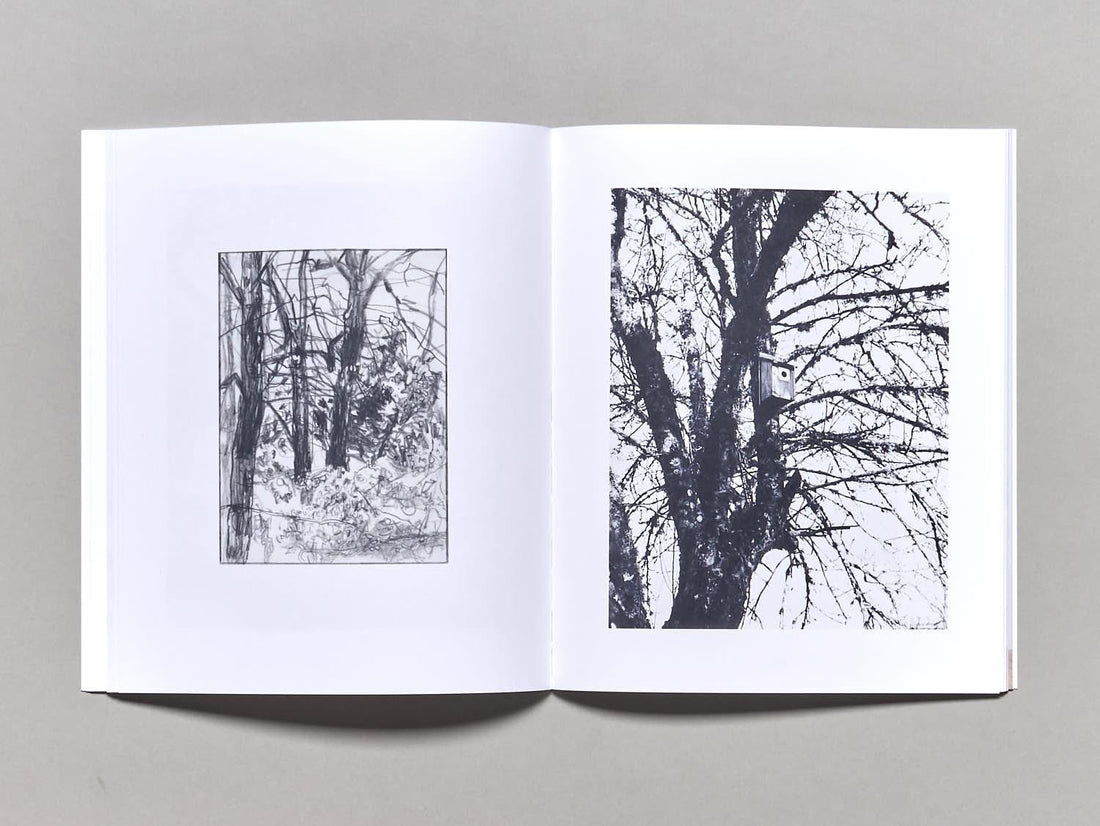 Woods - Antenne Books