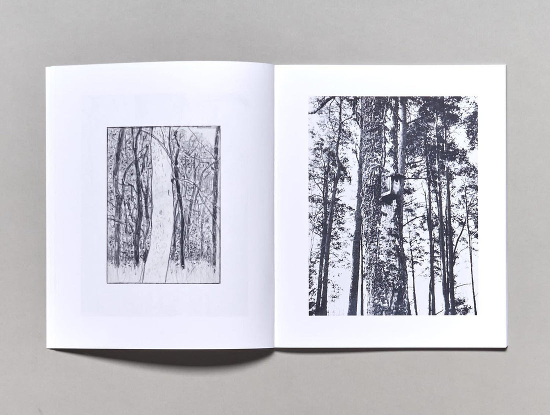 Woods - Antenne Books