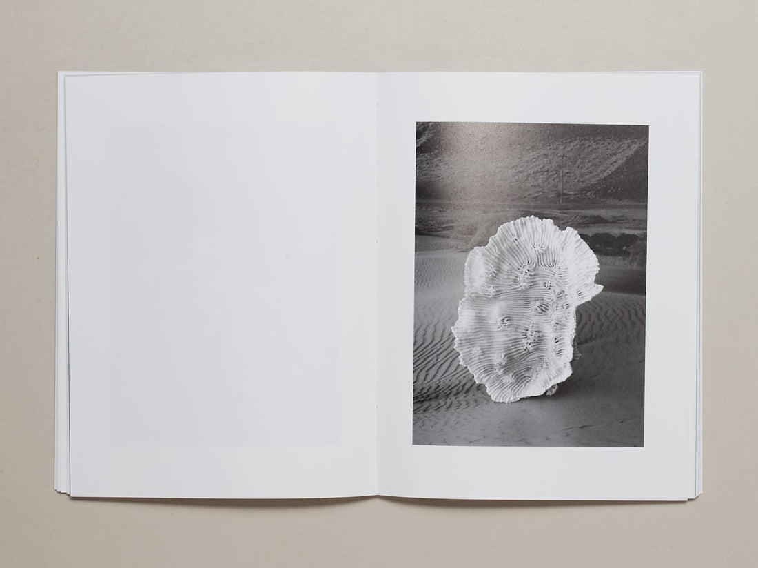 Water Column - Antenne Books