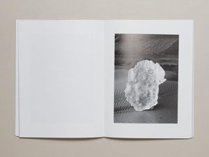 Water Column - Antenne Books