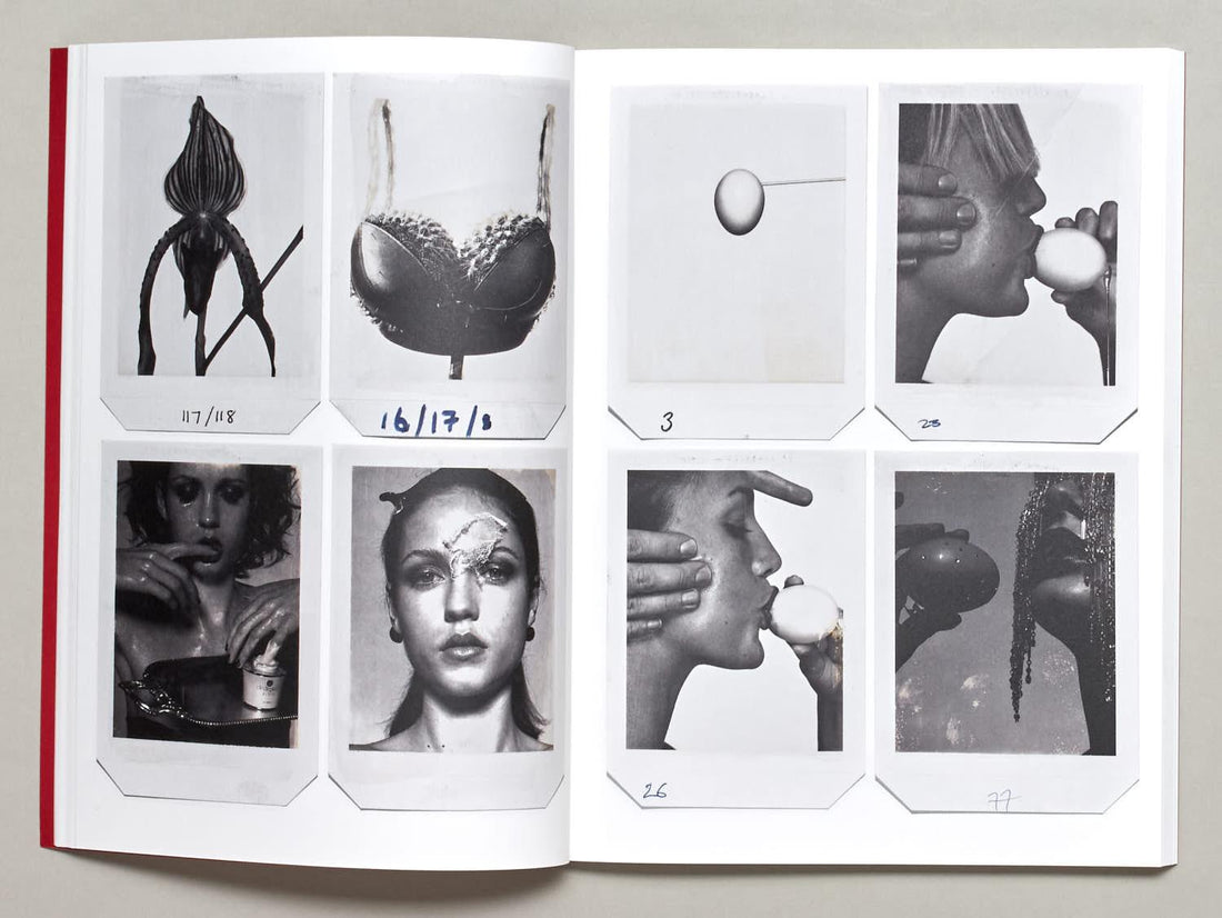 Donna Trope Polaroids - Antenne Books