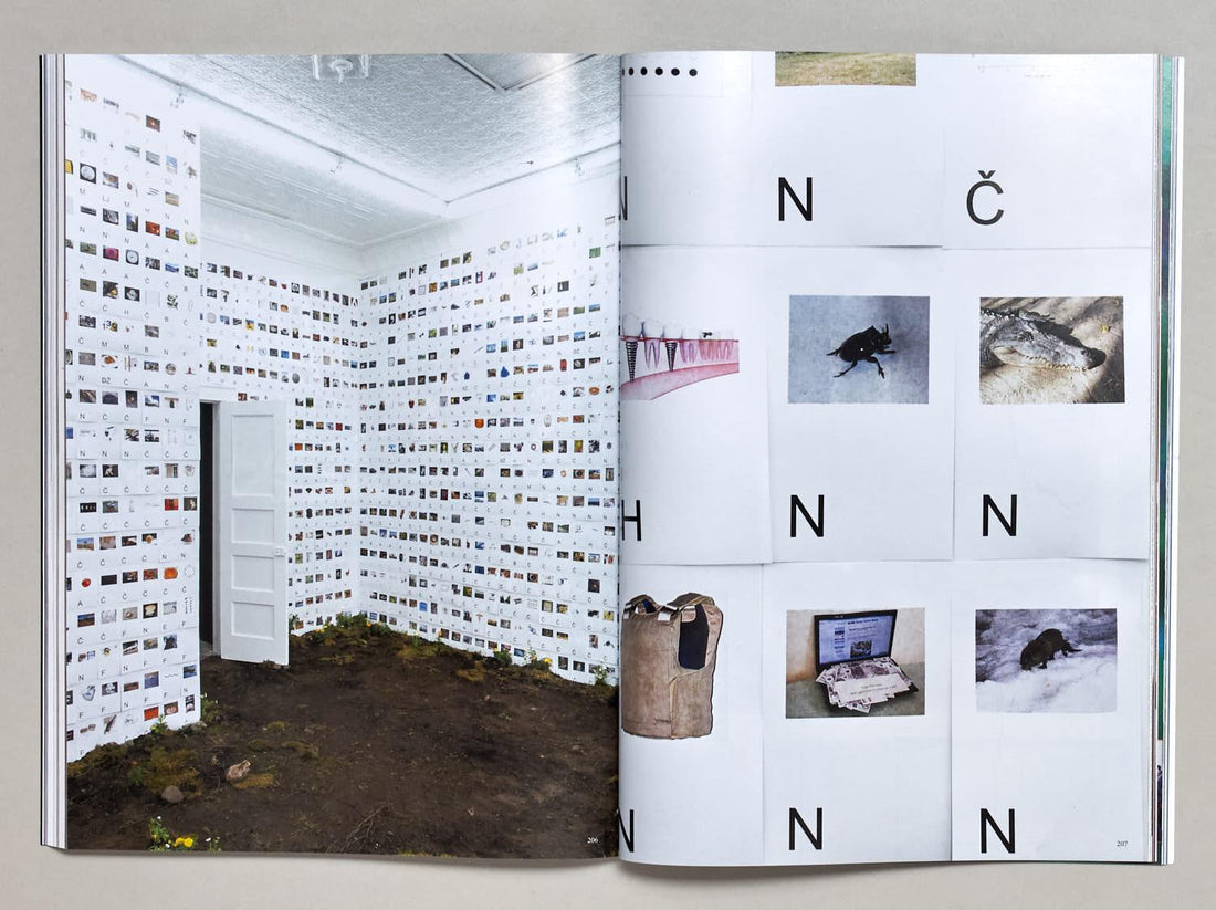 Mousse Magazine, Issue 85 - Antenne Books