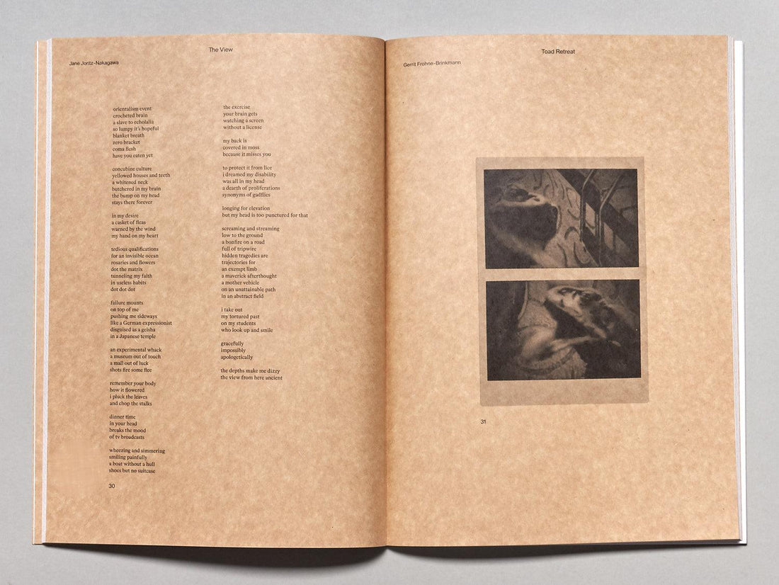 Pfeil Magazine Issue 17 - High - Antenne Books