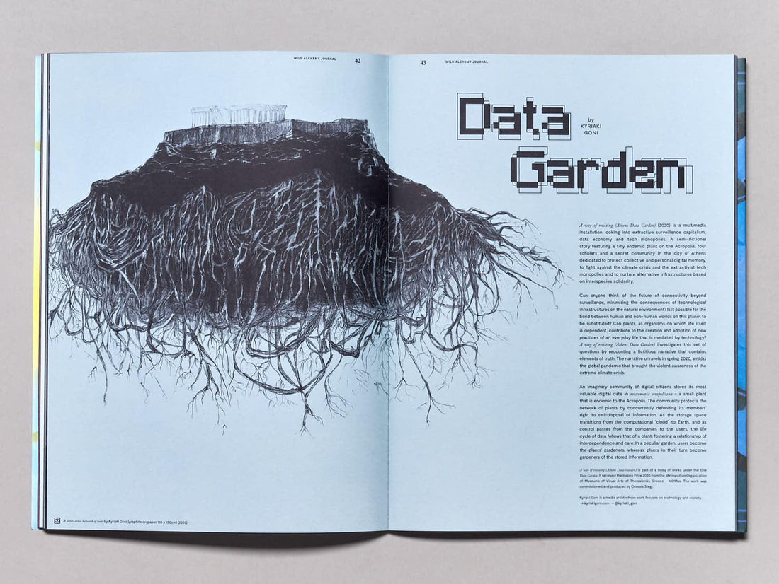 Wild Alchemy Journal: Air Edition - Antenne Books