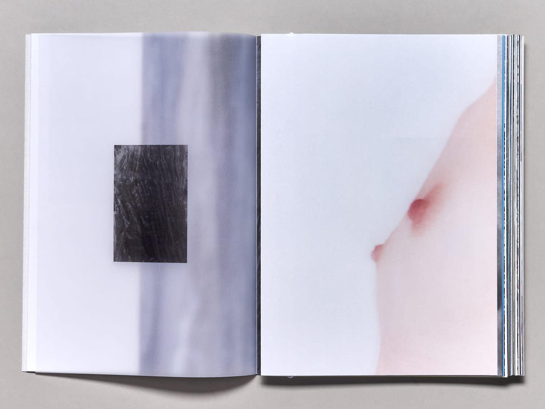 Path√™mes - Antenne Books