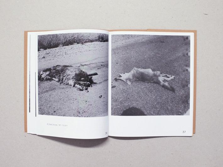 Robert Kinmont - Antenne Books