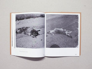 Robert Kinmont - Antenne Books