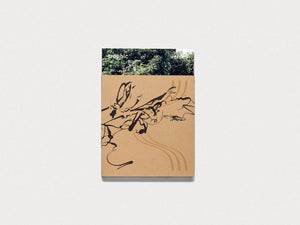 Trophic Verses - Antenne Books