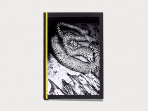 Napoli - Antenne Books