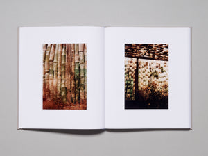 100% (Ciento por Ciento)