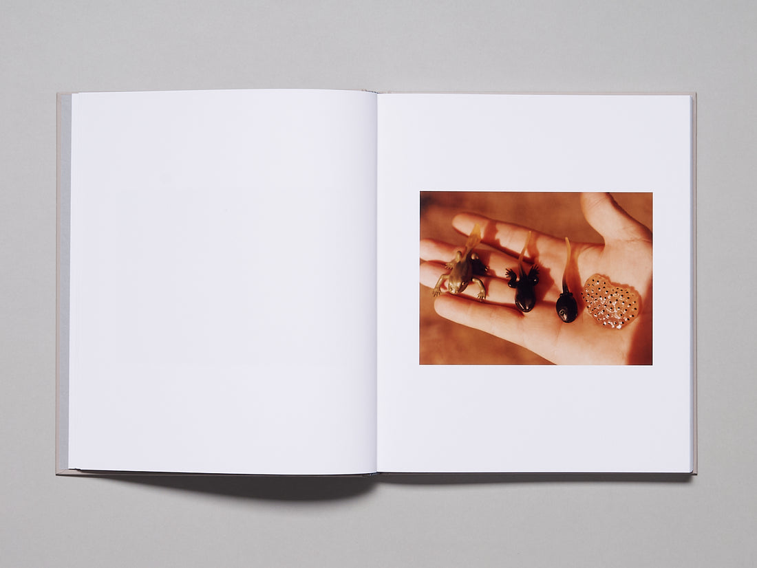 100% (Ciento por Ciento)