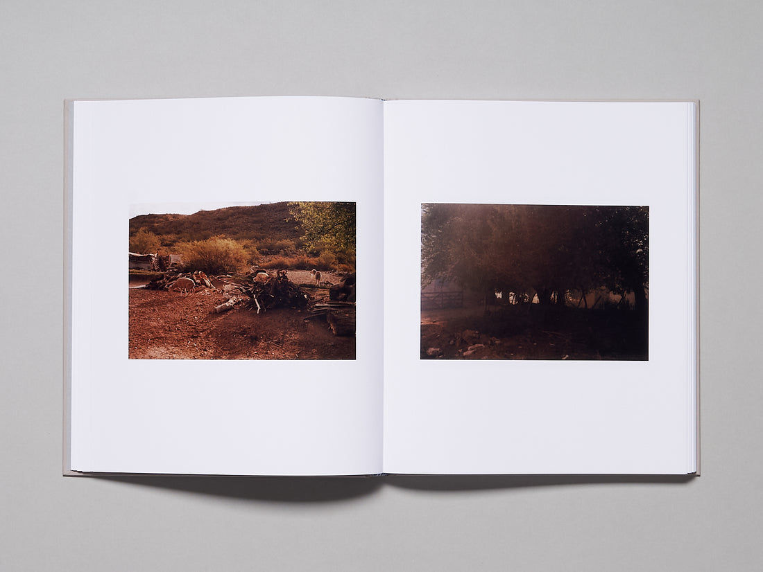 100% (Ciento por Ciento)