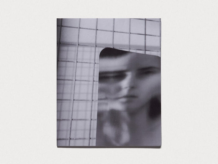 Dynasty - Antenne Books