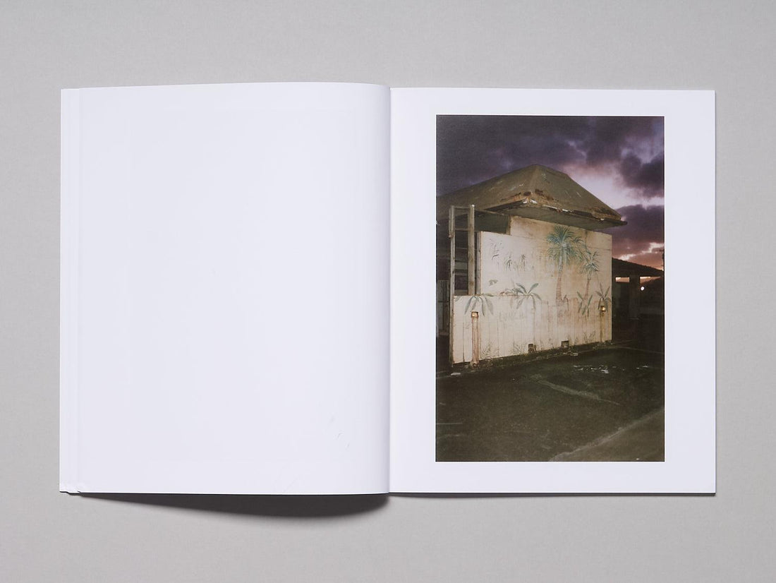 Dynasty - Antenne Books