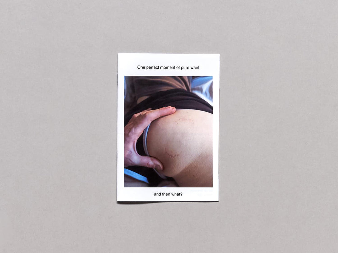 One Perfect Moment of Pure Want - Antenne Books