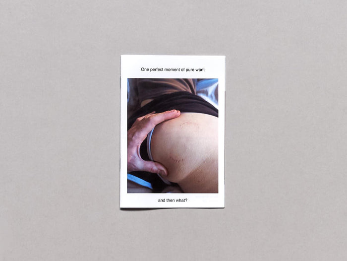 One Perfect Moment of Pure Want - Antenne Books