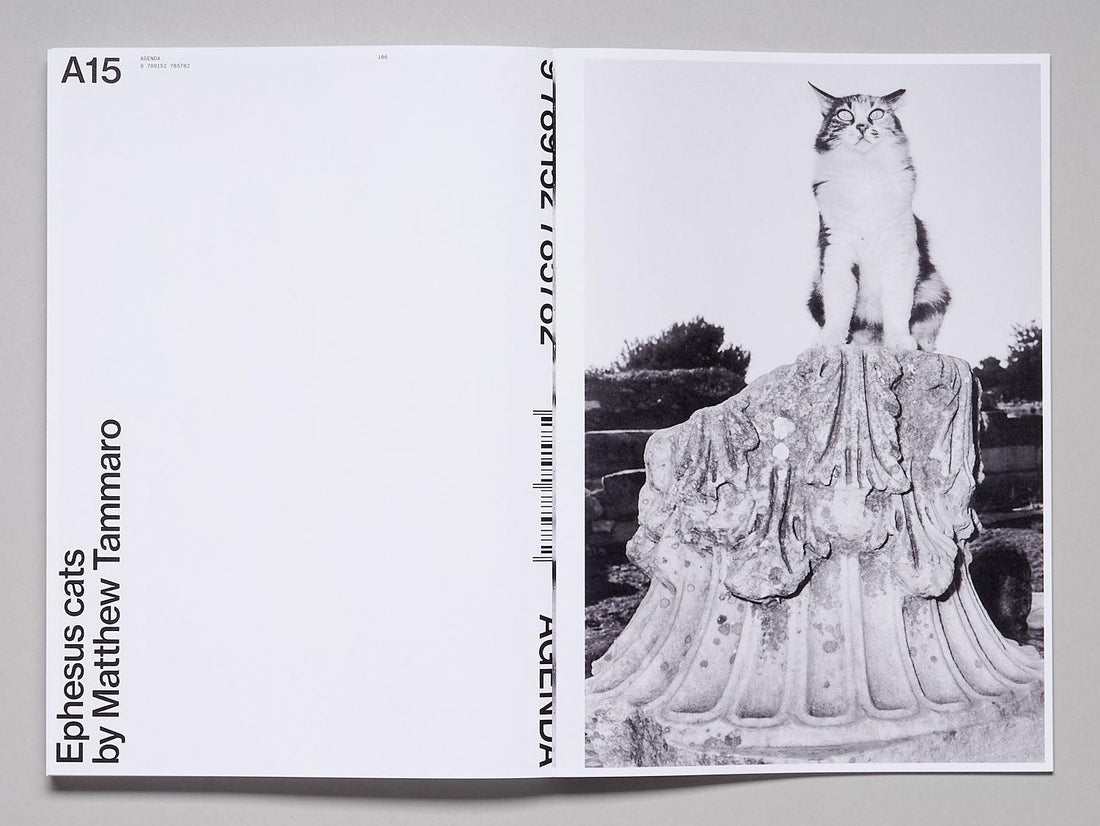 AGENDA, Issue 3 - Antenne Books