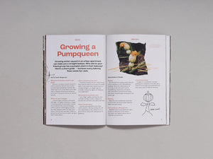 Rebel Roots Issue 2 - Antenne Books