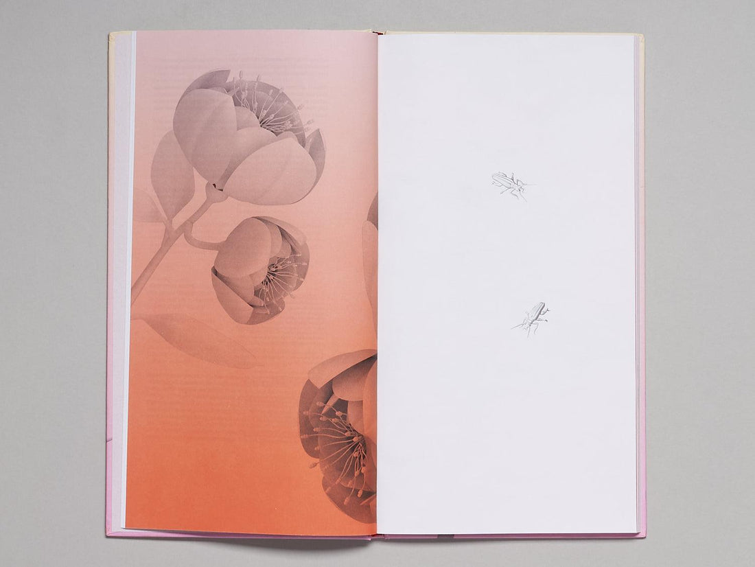 A Song of Flowers / Le Chant des Fleurs - Antenne Books