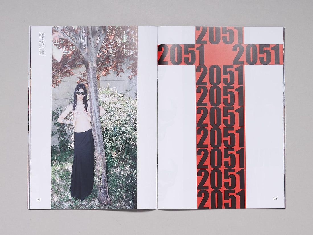 Plates of Meat Issue 8 - Antenne Books