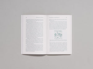 Mysterious Letters: Language, Science, and the Voynich Manuscript